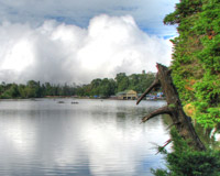 Kodaikanal Weather